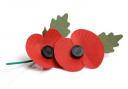 The Royal British Legion Poppy Appeal raises money to help veterans