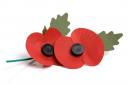 The Royal British Legion Poppy Appeal raises money to help veterans