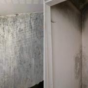 Mould pictured at a council property on Balmoral Drive (left) and Royal Drive (right) in Higher Folds