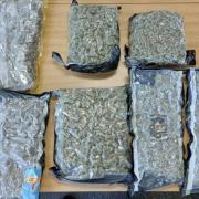 The large amounts of drugs were seized