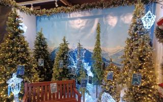 Bents Garden and Home has officially unveiled its 'Christmas Experience' 2022