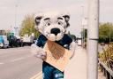 Warrington mascot Wolfie looking for a lift to Leigh on Winwick Road