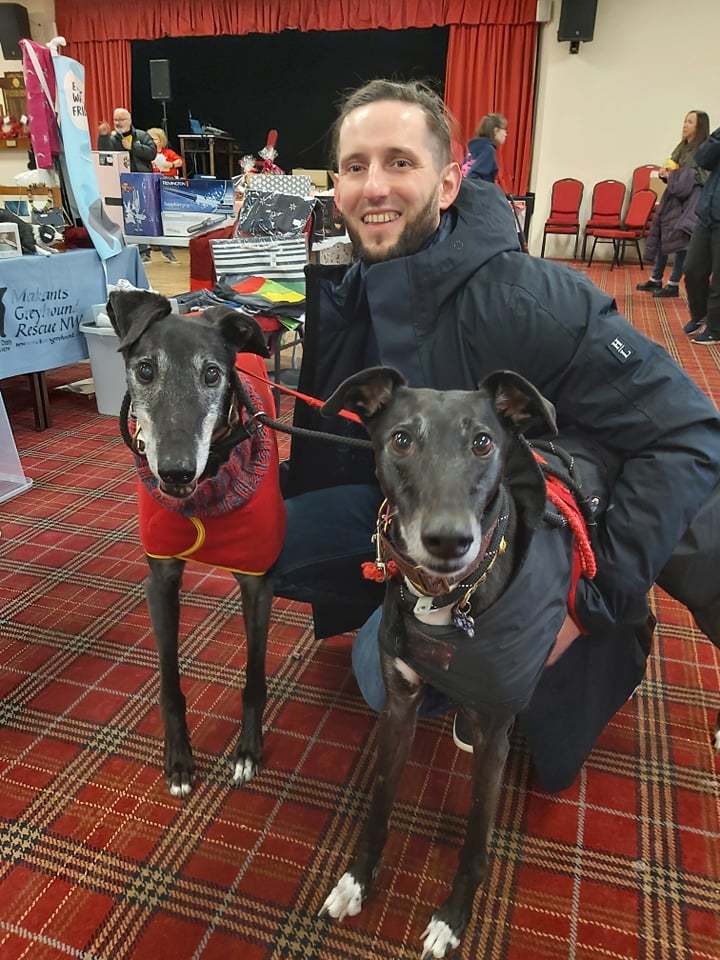 Greyhounds King and Lottie at the fair