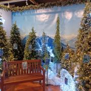 Bents Garden and Home has officially unveiled its 'Christmas Experience' 2022