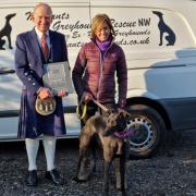 John Burns with Siobhan Hoppley at Makants Greyhound Rescue in Tyldesley