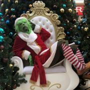The Grinch and festive characters will be bringing in festive cheers at Spinning Gate